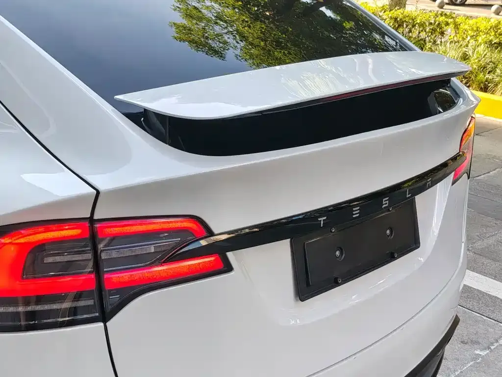Tesla Model X — фото 8