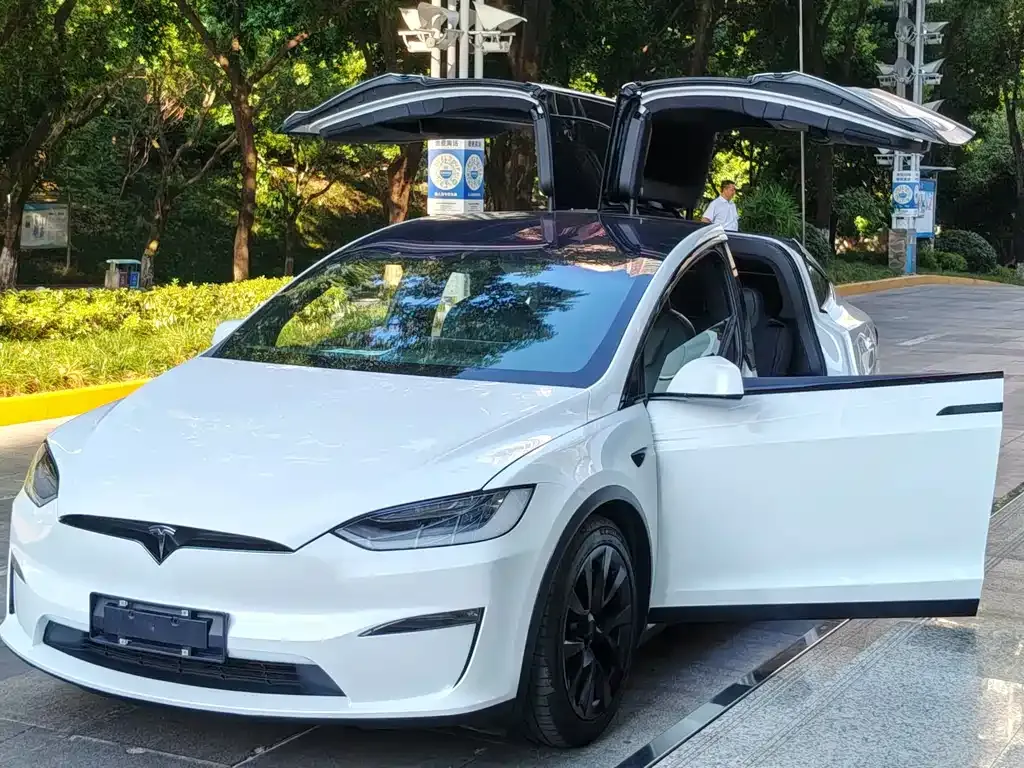 Tesla Model X — фото 9