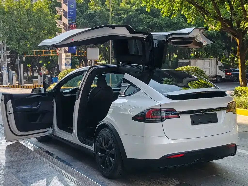 Tesla Model X — фото 4