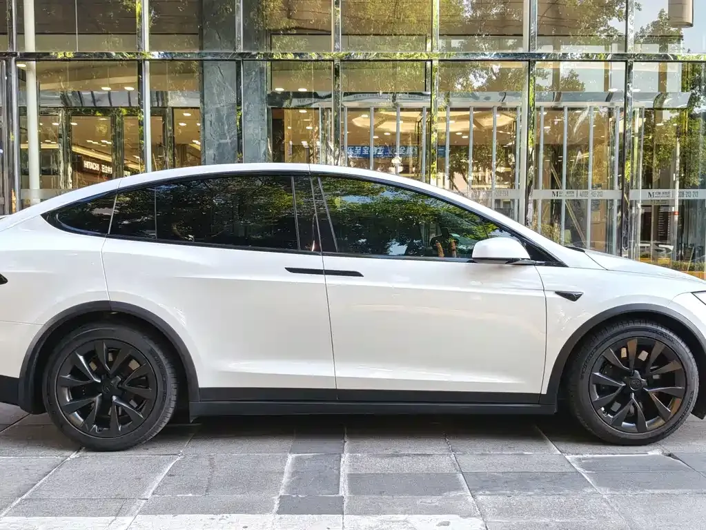 Tesla Model X — фото 7