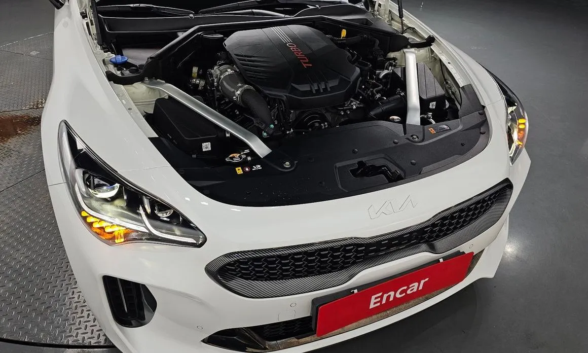 Kia Stinger — фото 10