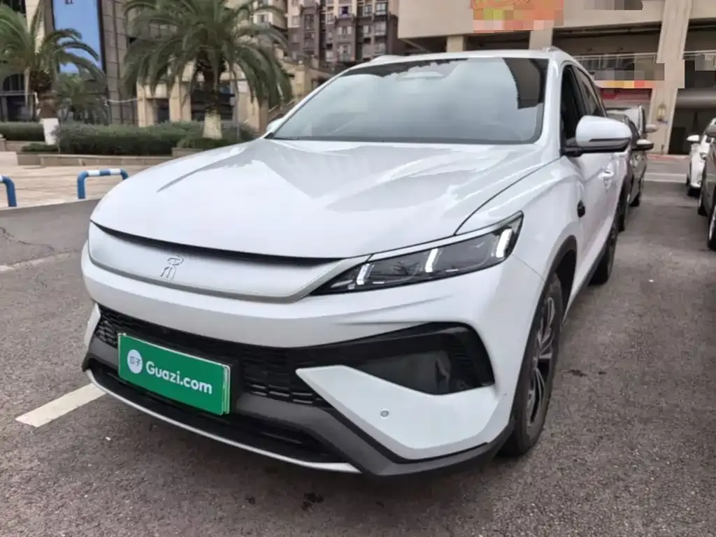 BYD Pro New Energy — фото 1