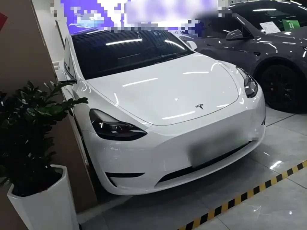 Tesla Model Y — фото 9