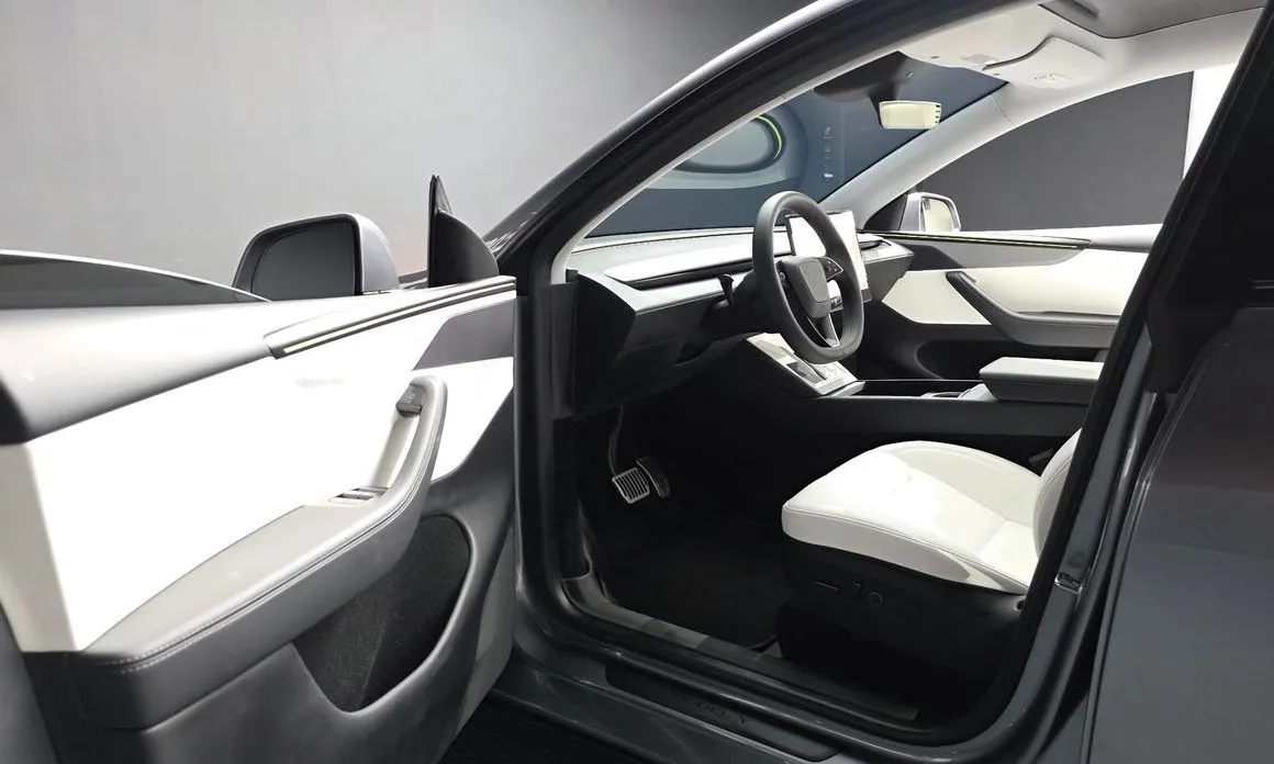 Tesla Model Y — фото 5