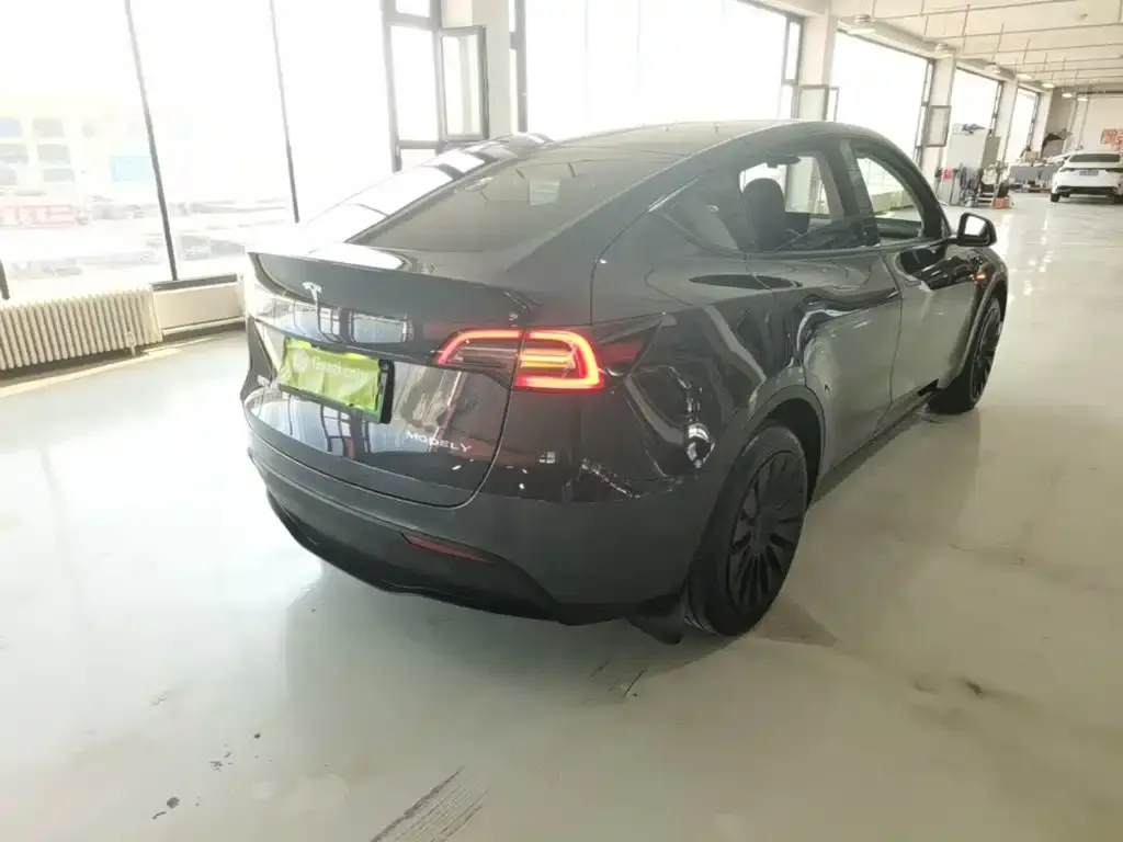 Tesla Model Y — фото 9