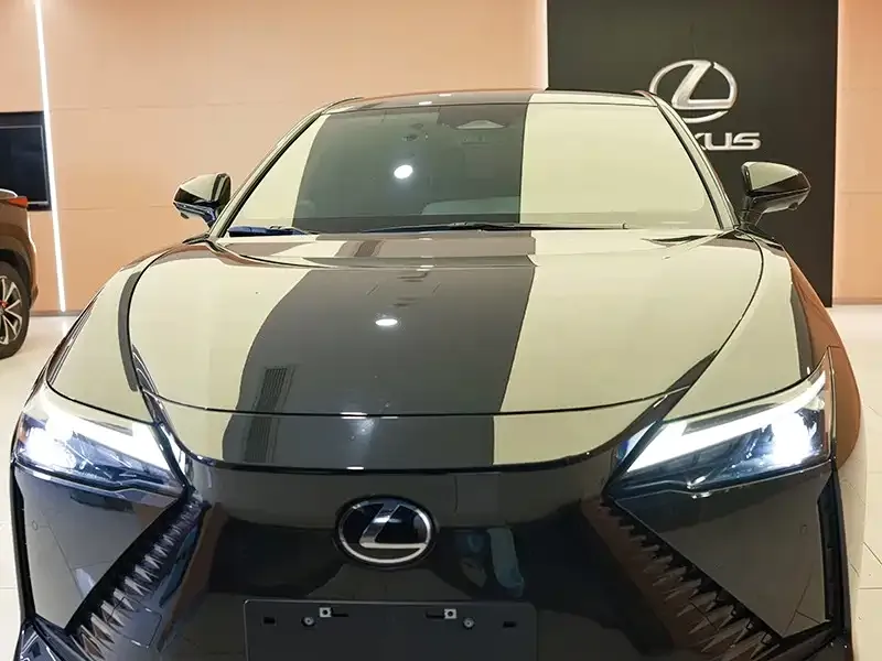 Lexus RZ — фото 6