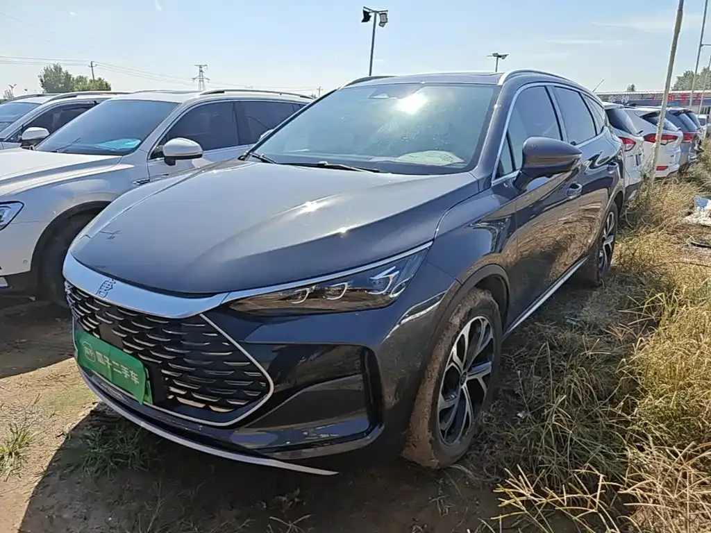 BYD Tang New Energy — фото 1