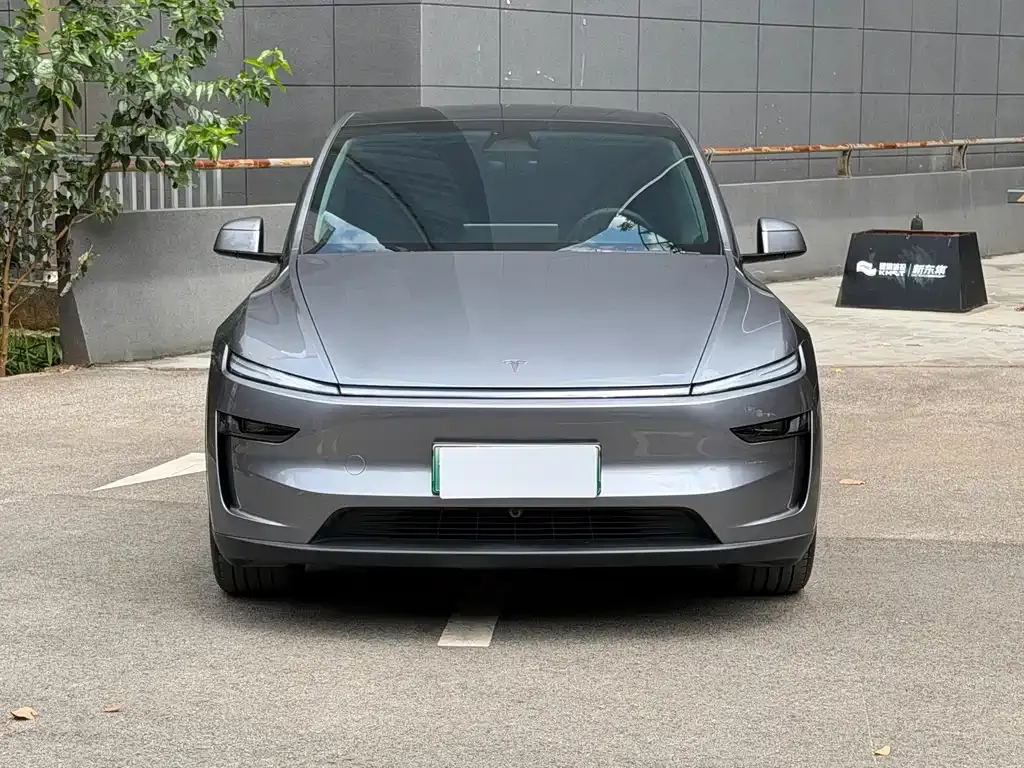 Tesla Model Y — фото 4