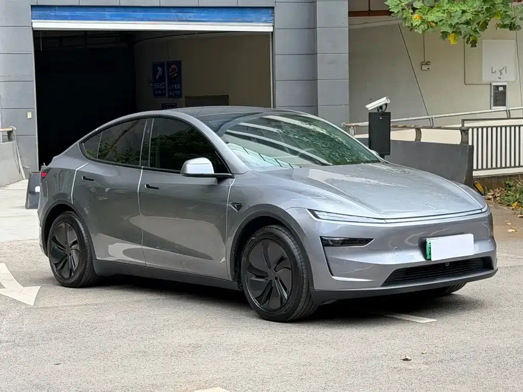 Tesla Model Y — фото 5