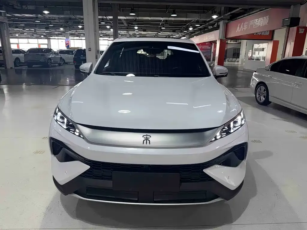 BYD Pro New Energy — фото 7