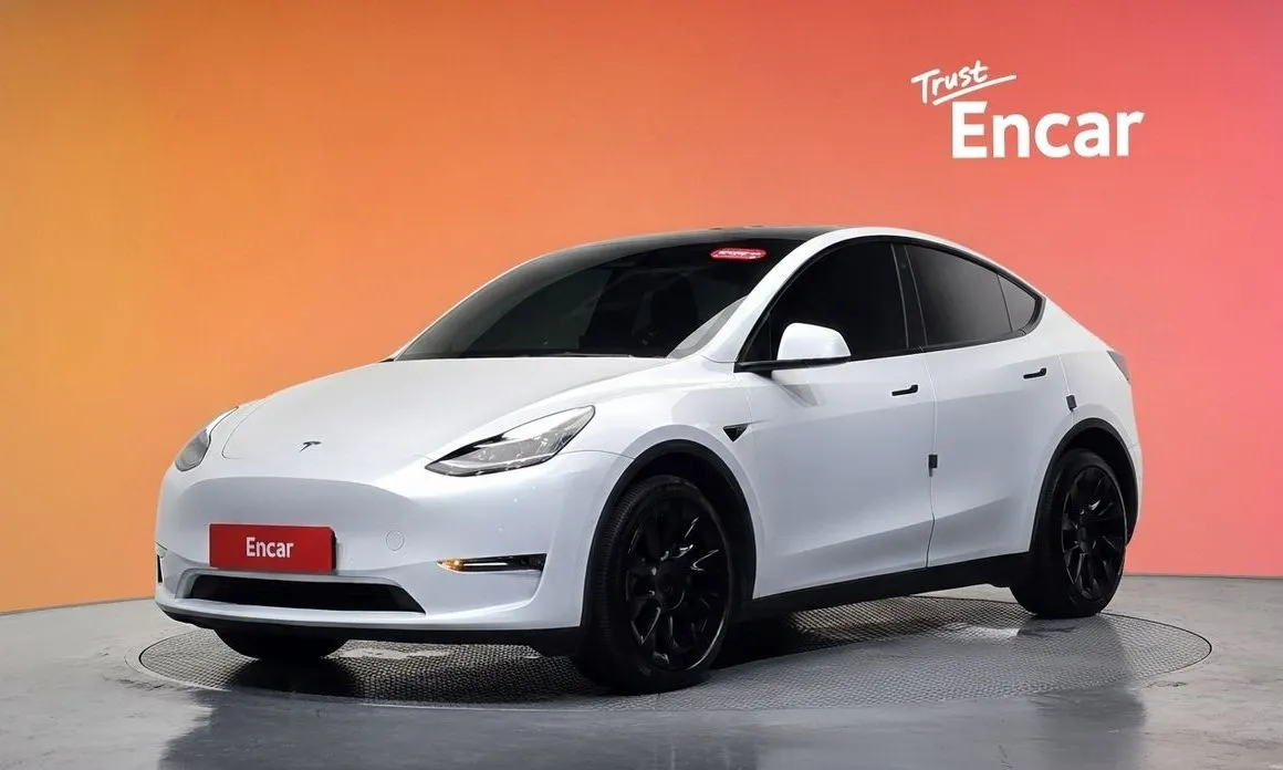 Tesla Model Y — фото 1