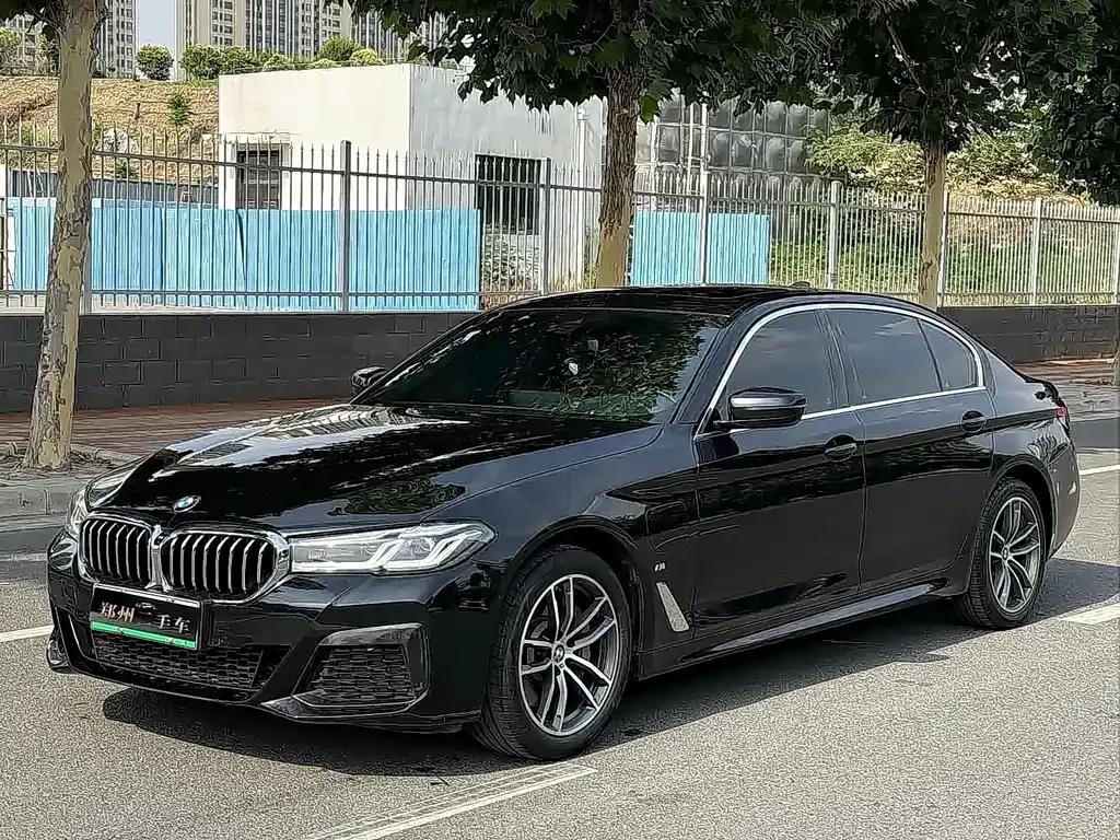 BMW 5 Series New Energy — фото 1