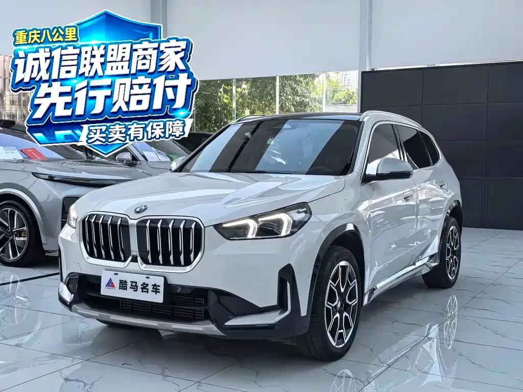BMW X1 — фото 1