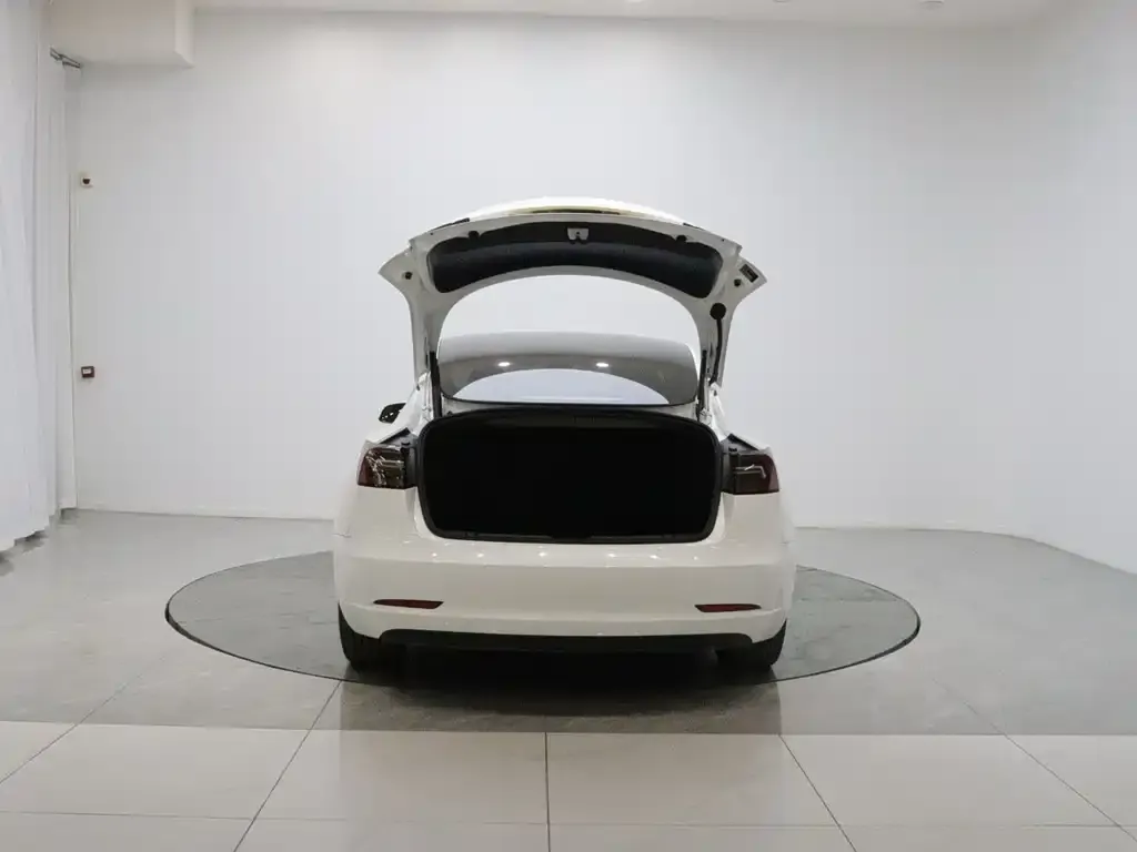 Tesla Model 3 — фото 2