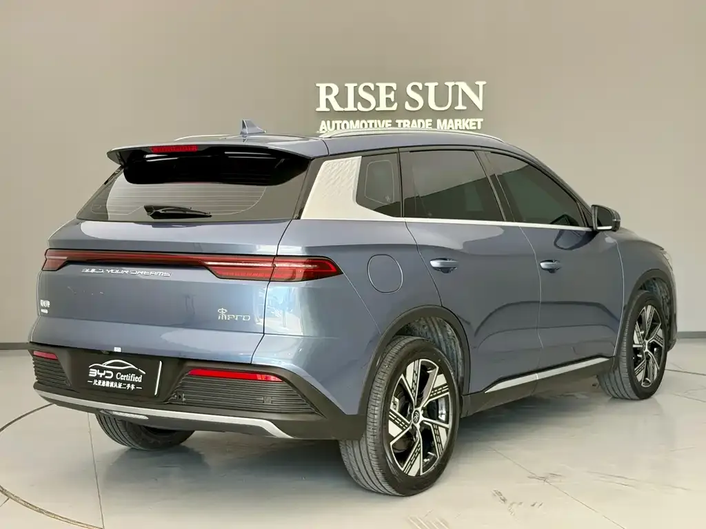 BYD Pro New Energy — фото 9