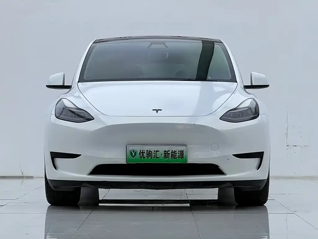 Tesla Model Y — фото 2