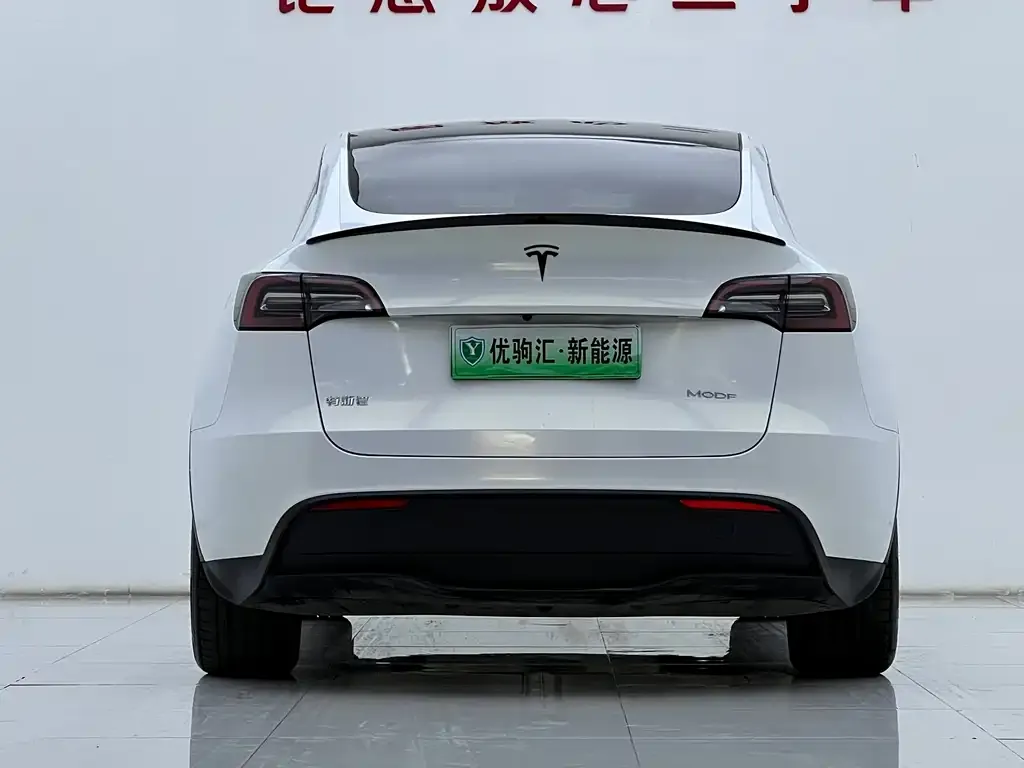 Tesla Model Y — фото 6