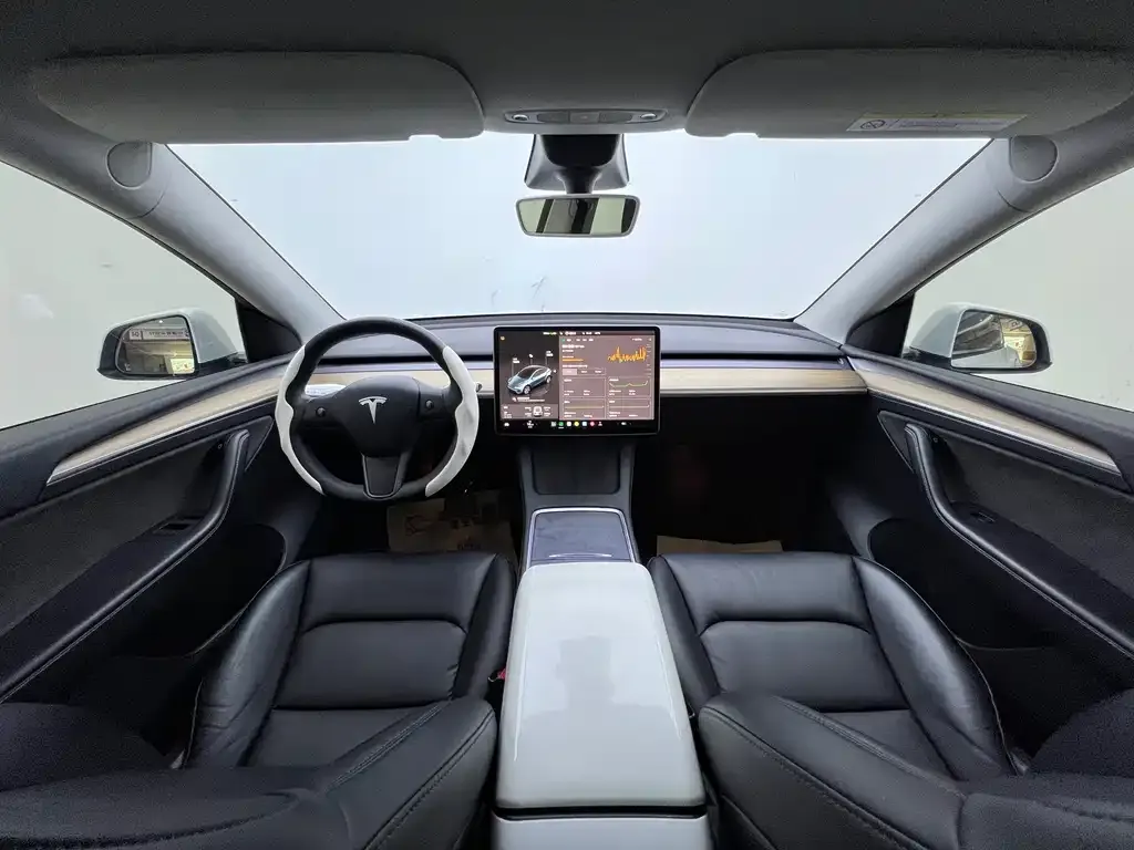 Tesla Model Y — фото 9