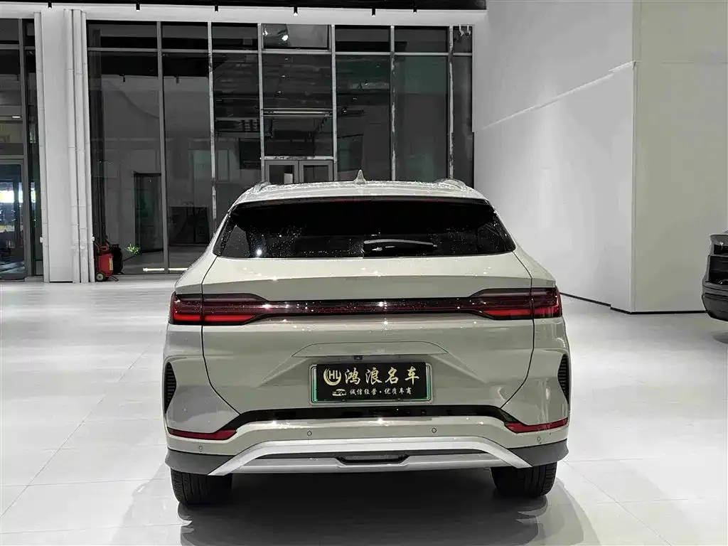 BYD PLUS New Energy — фото 10