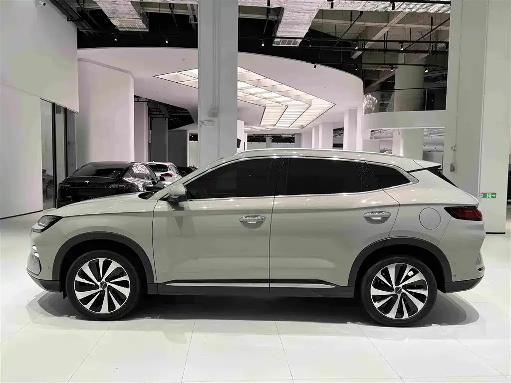 BYD PLUS New Energy — фото 8