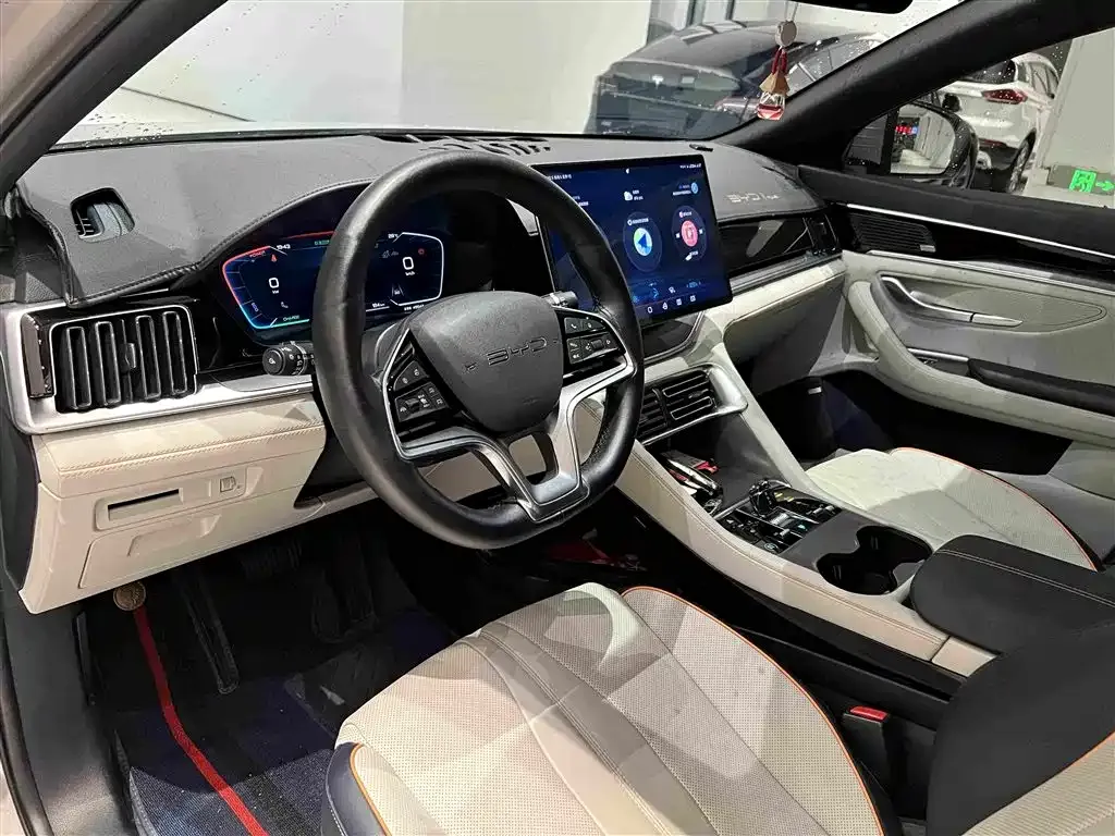 BYD PLUS New Energy — фото 9