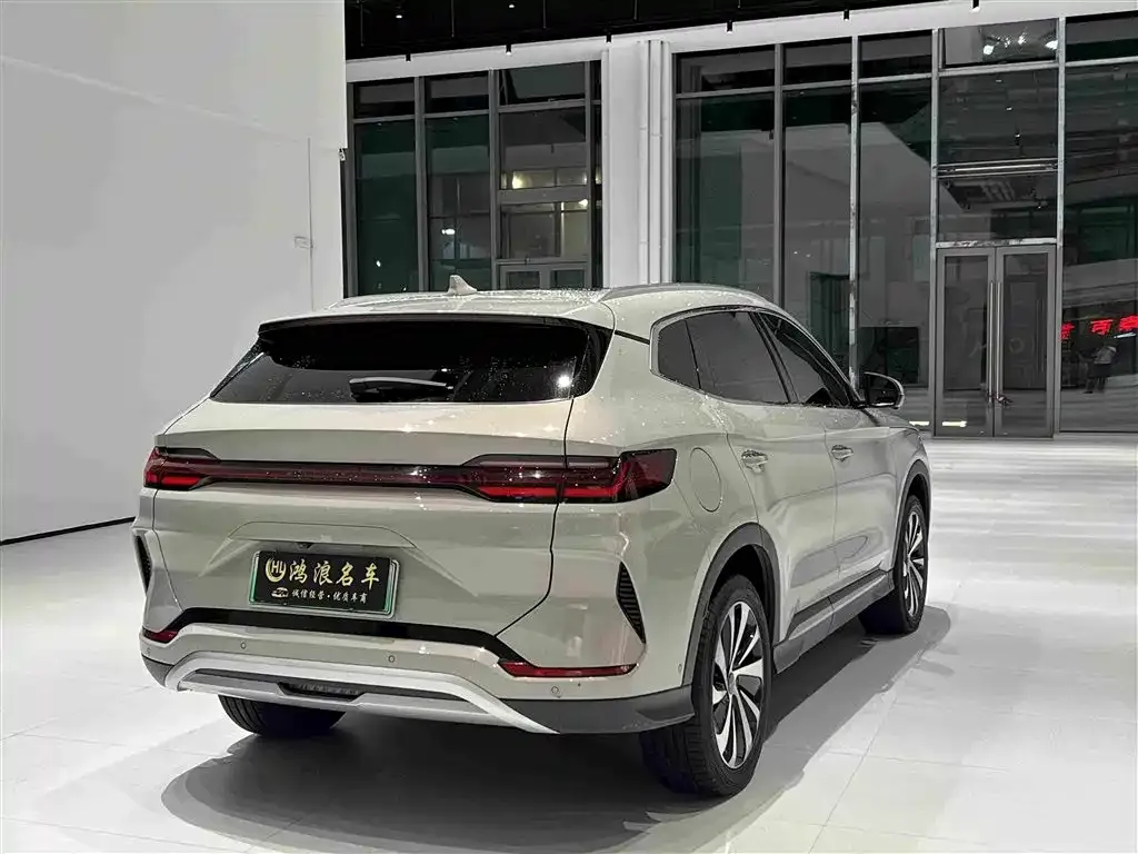 BYD PLUS New Energy — фото 6