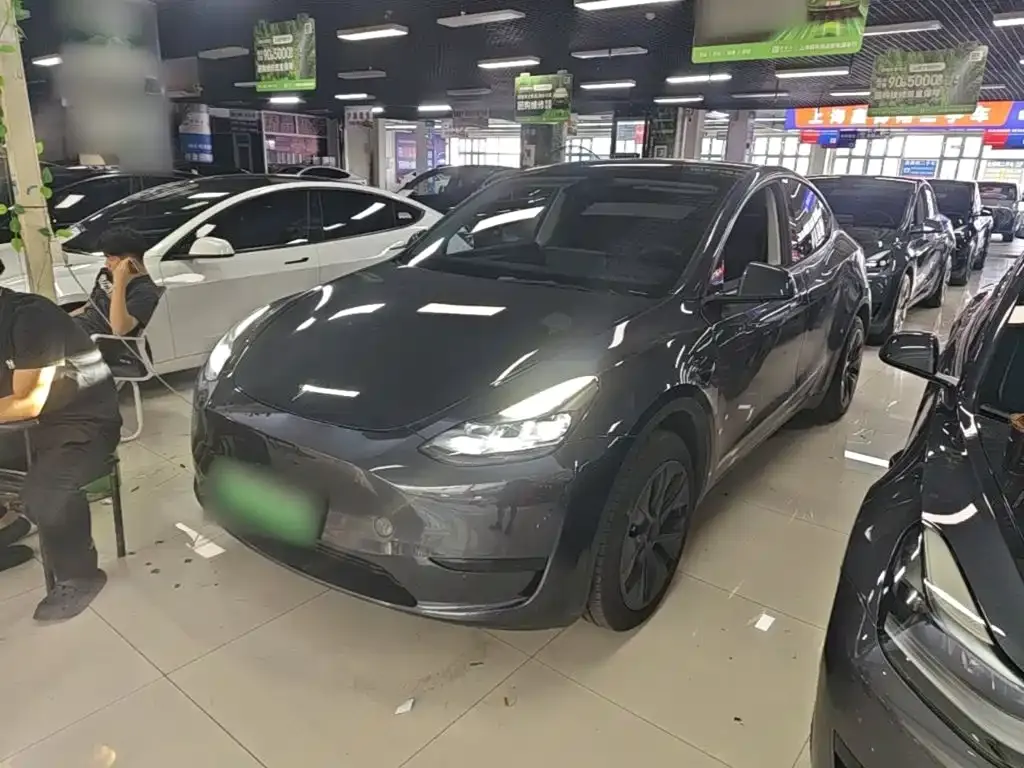 Tesla Model Y — фото 6