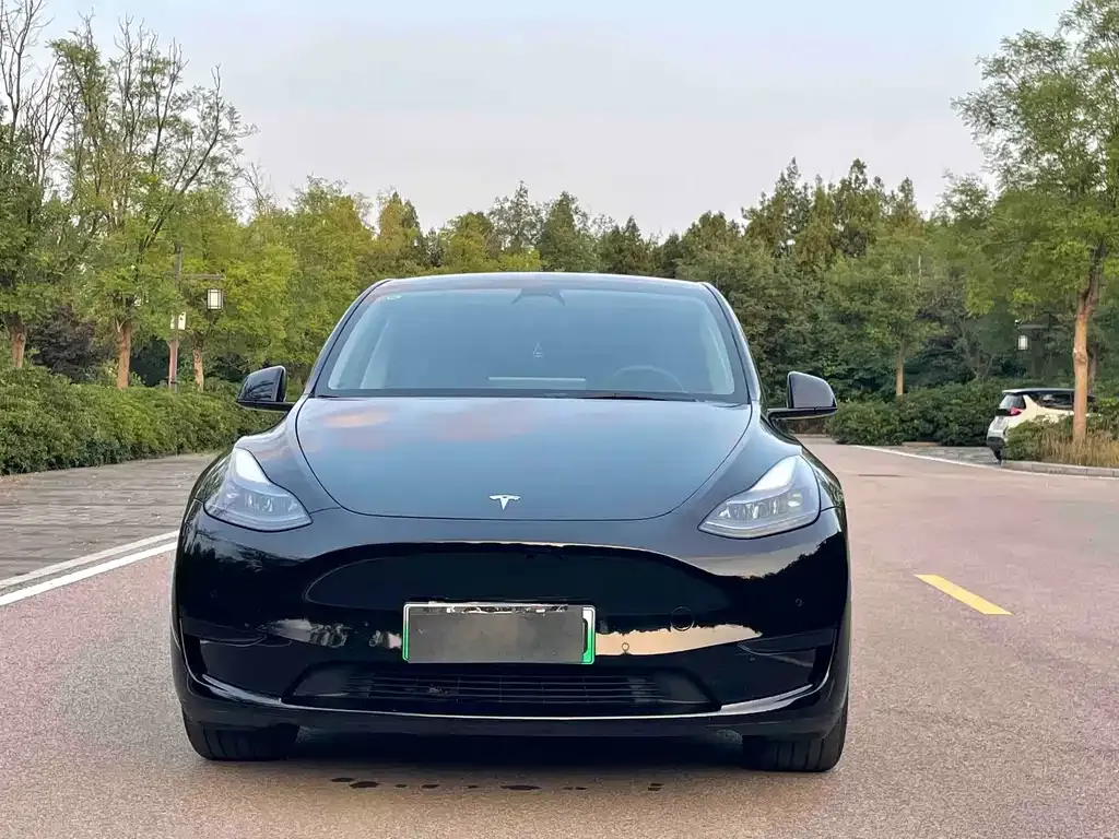 Tesla Model Y — фото 9