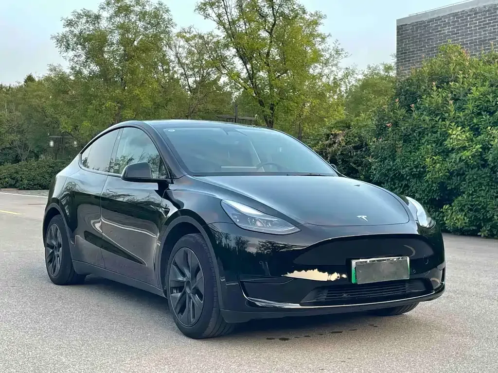Tesla Model Y — фото 5