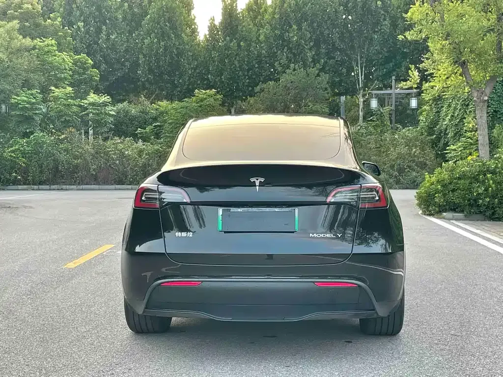 Tesla Model Y — фото 8