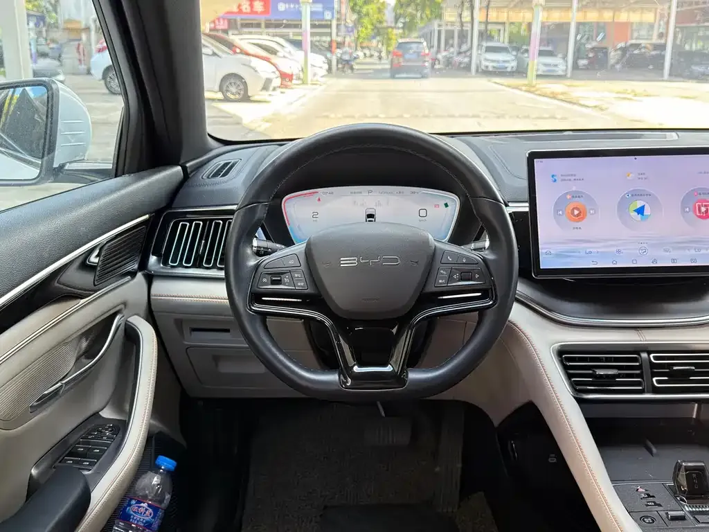 BYD PLUS New Energy — фото 6