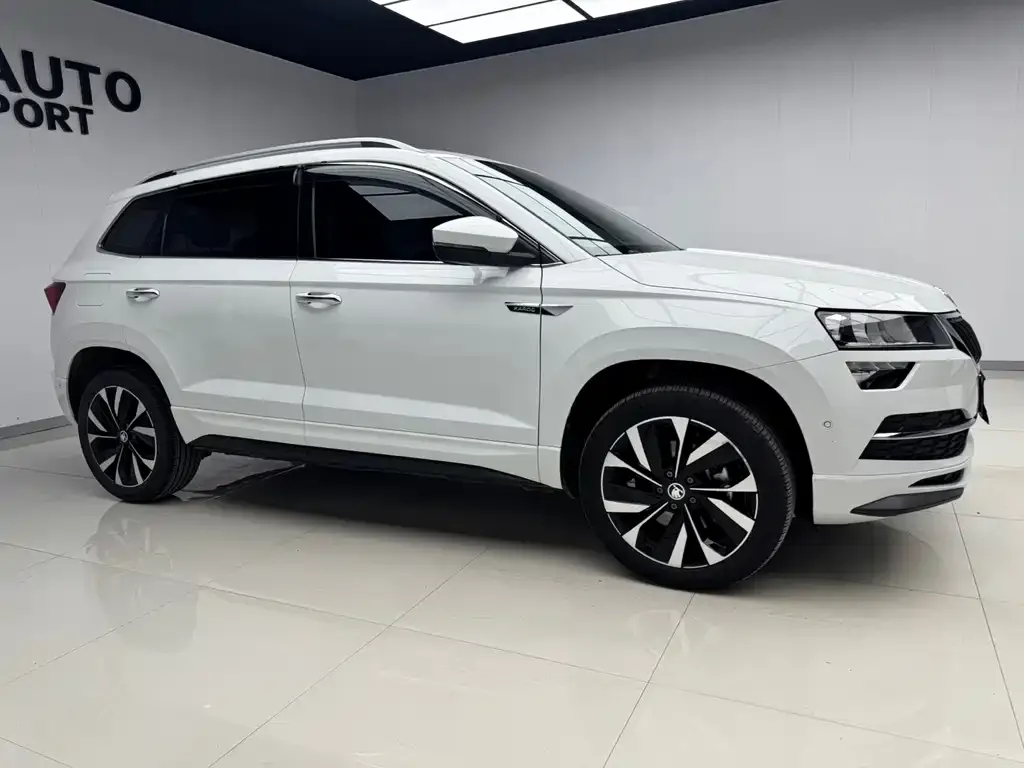 Skoda Karoq — фото 8