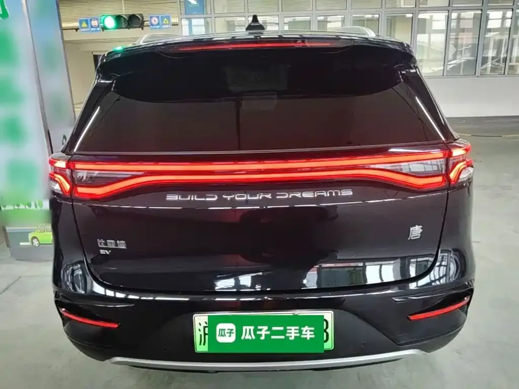 BYD Tang New Energy — фото 5