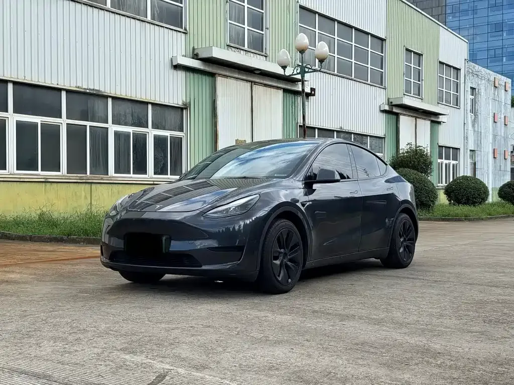 Tesla Model Y — фото 1