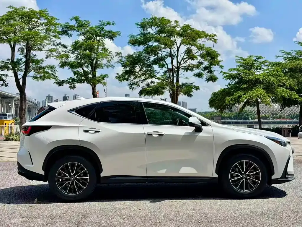 Lexus NX — фото 10
