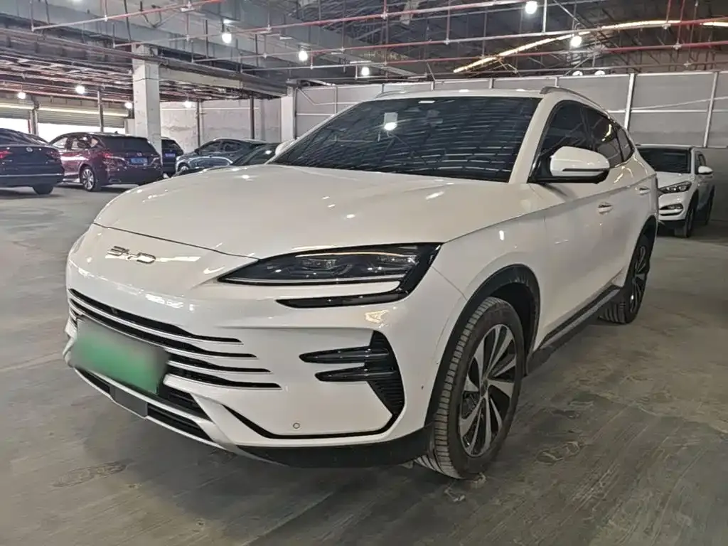 BYD PLUS New Energy — фото 1