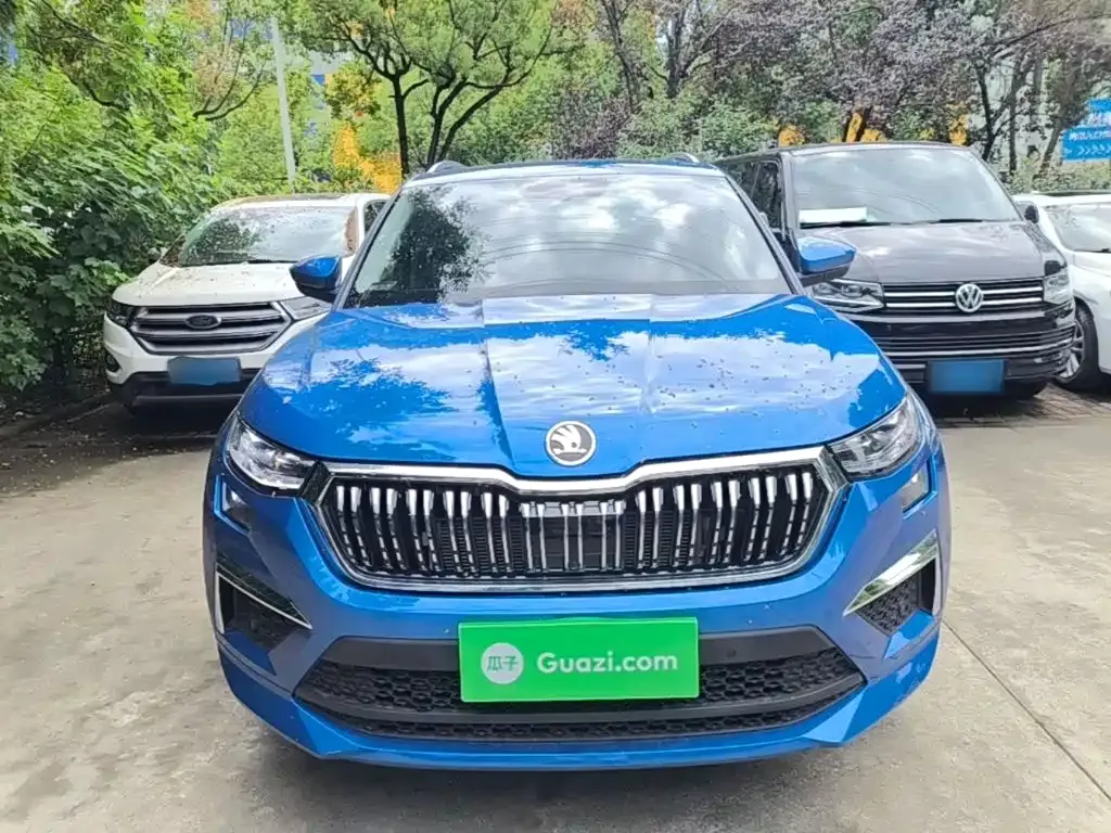 Skoda Kodiaq — фото 6