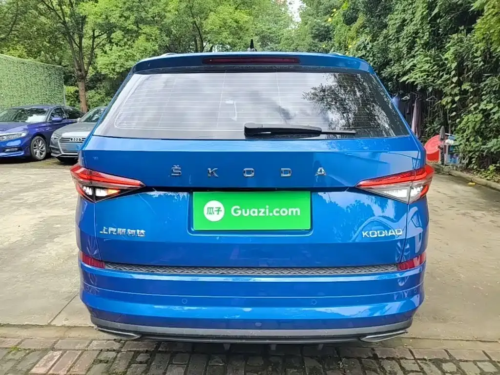 Skoda Kodiaq — фото 10