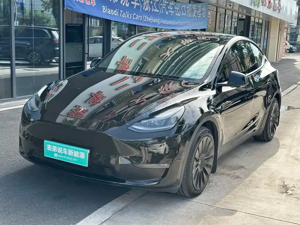Tesla Model Y — фото 1