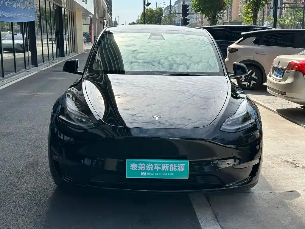 Tesla Model Y — фото 6