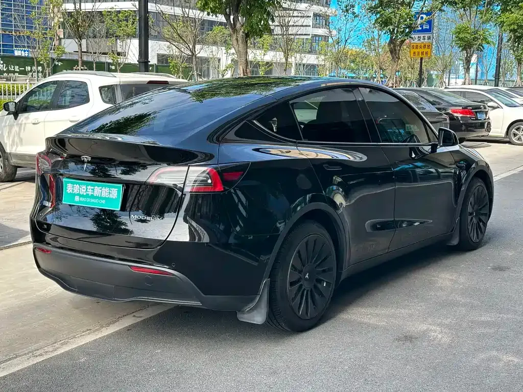 Tesla Model Y — фото 9
