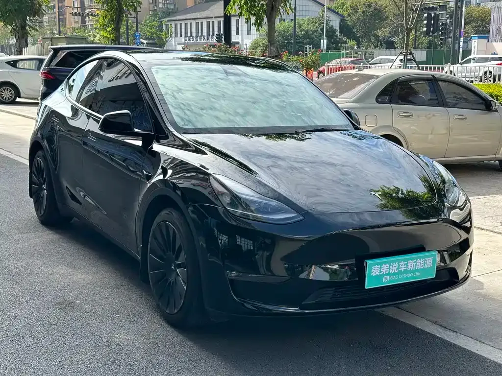 Tesla Model Y — фото 10