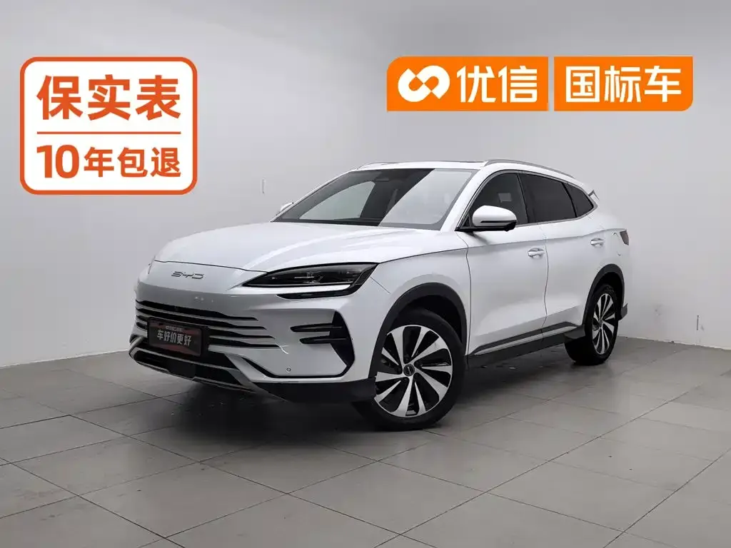 BYD PLUS New Energy — фото 1