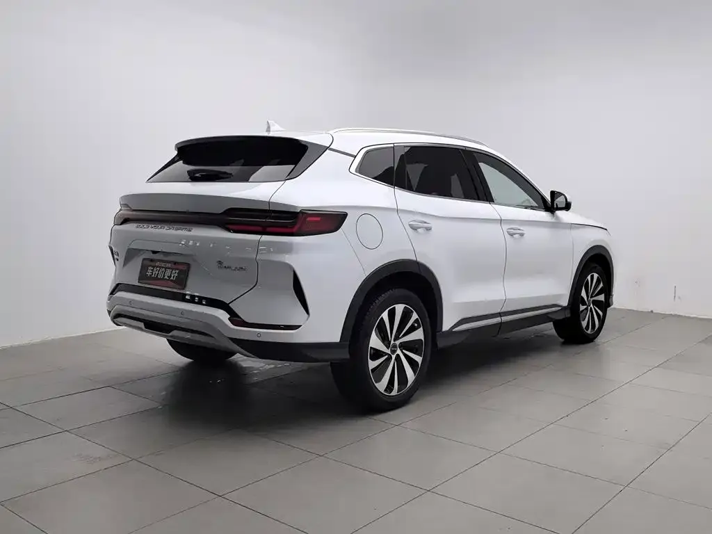 BYD PLUS New Energy — фото 9