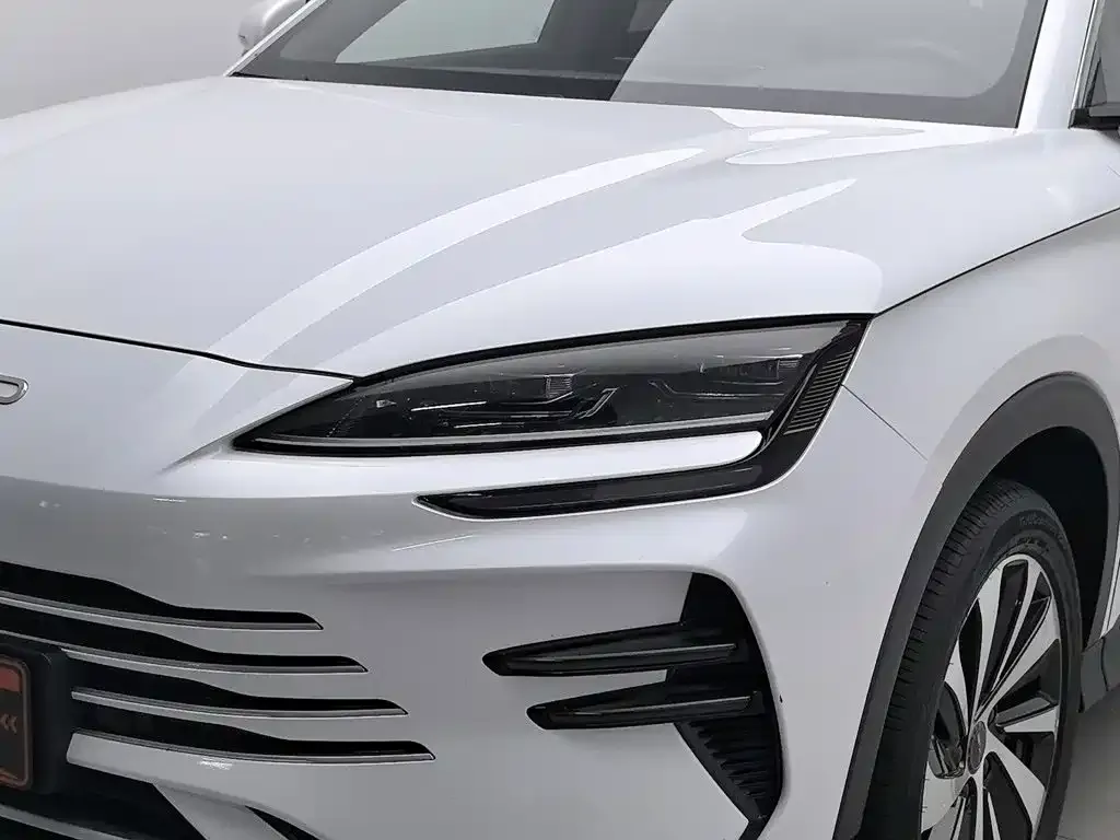 BYD PLUS New Energy — фото 4