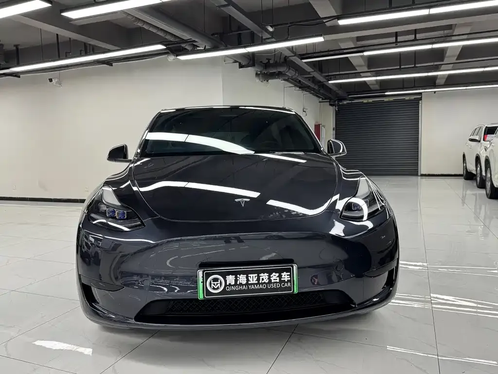Tesla Model Y — фото 10