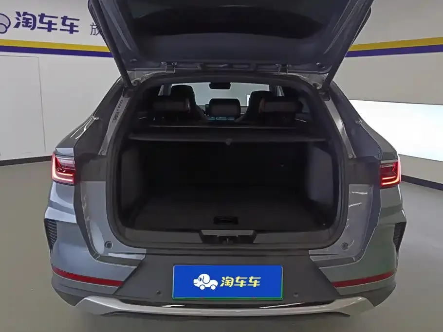 BYD PLUS New Energy — фото 3