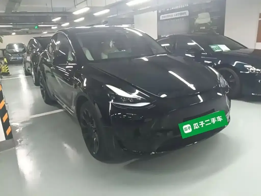 Tesla Model Y — фото 2