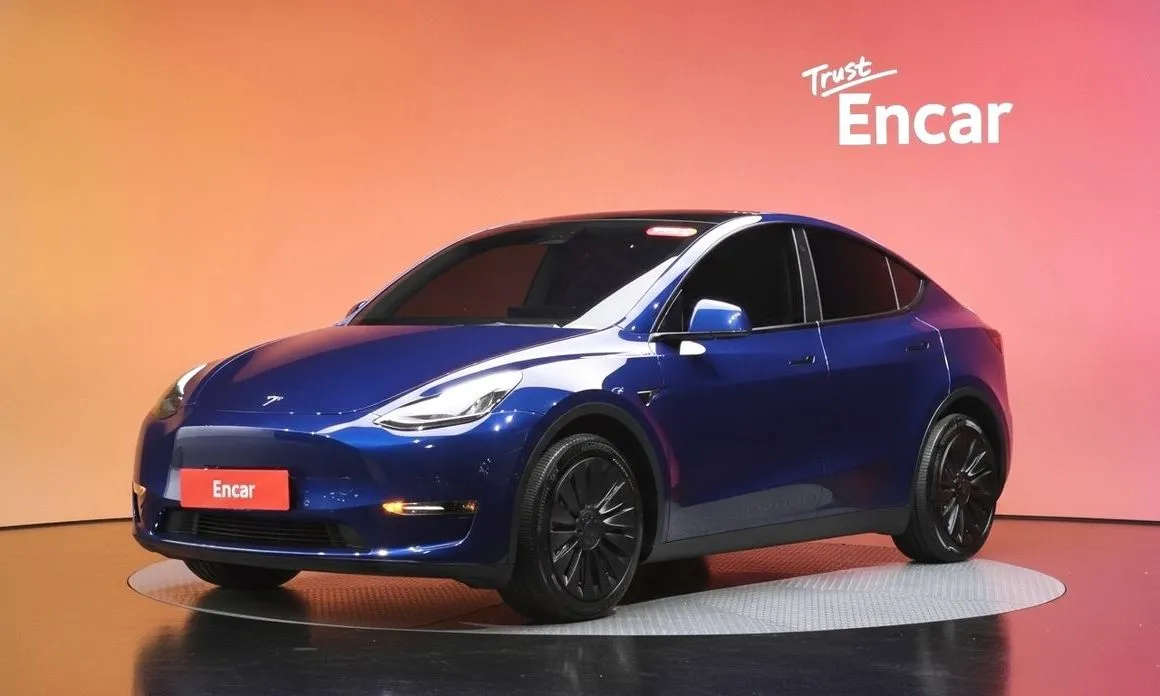 Tesla Model Y — фото 1