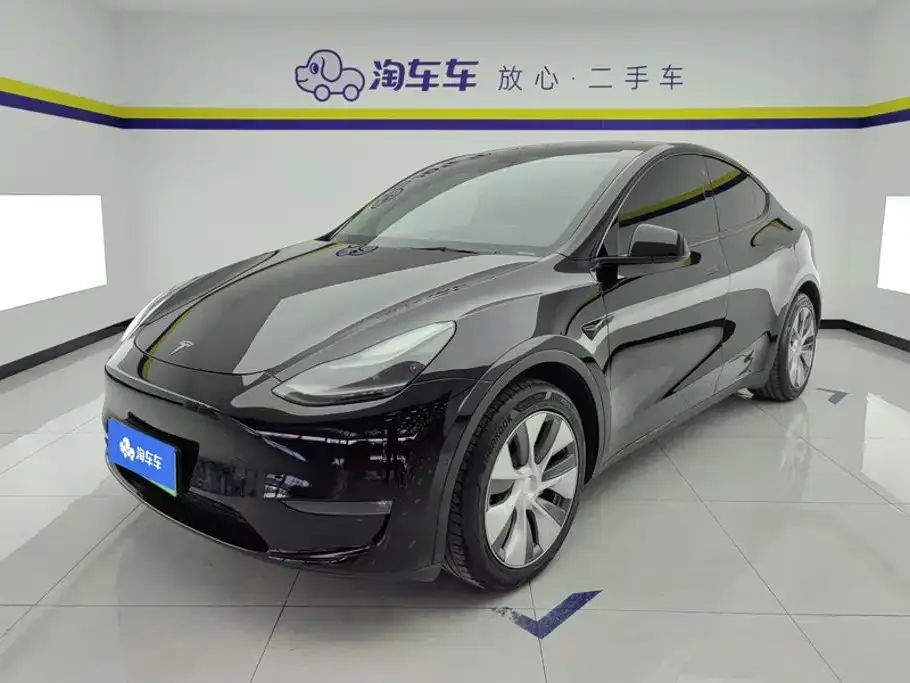 Tesla Model Y — фото 1